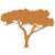 Tanzania safari Company