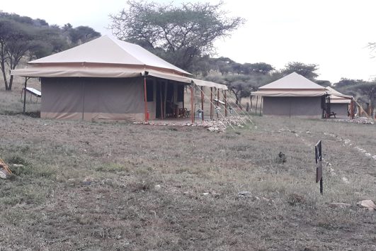 Serengeti Pure Tented Camp