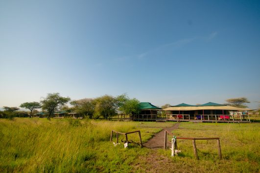 Kilima Valley Tented Camp