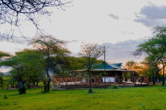 Embalakai Authentic Camps - Serengeti