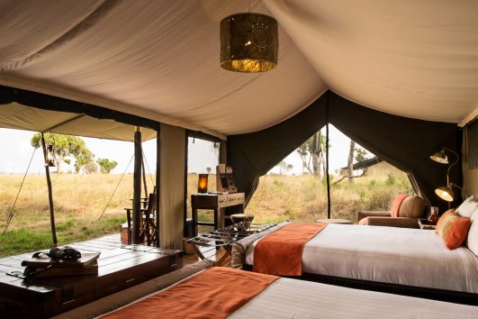 Serengeti Wildebeest Camps