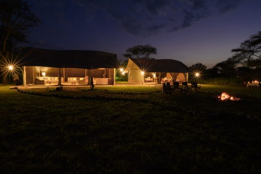 Pamoja Migration Camp