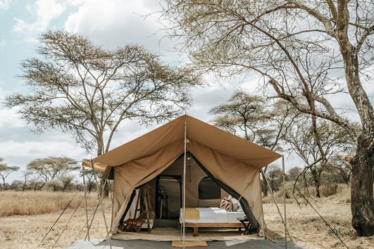 Serengeti Wilderness Camp - Central Serengeti