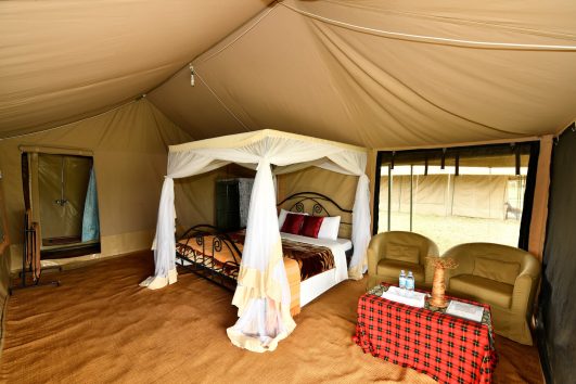 Serengeti Wild Camp