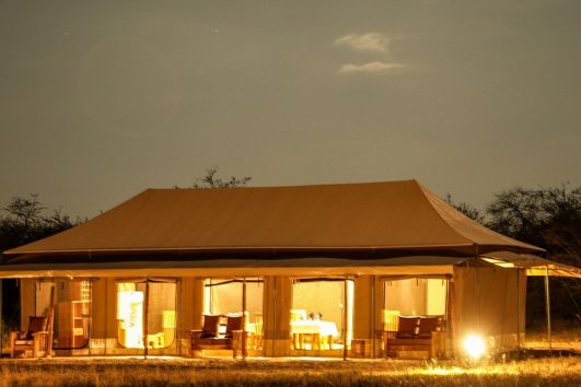 Into Wild Africa Luxury Tented Camp Serengeti