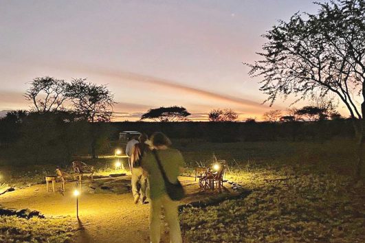 Kon Tiki Serengeti Camp