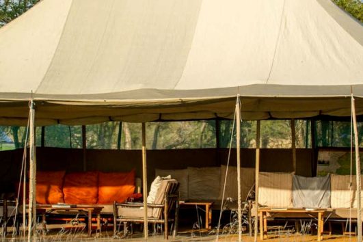 Ndutu Wilderness Camp