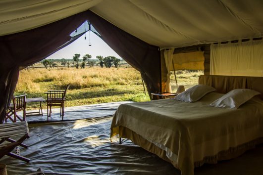 Serengeti Savannah Camps