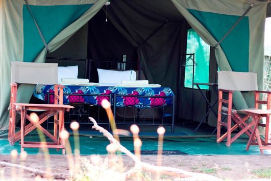 Halisi Serengeti Camp