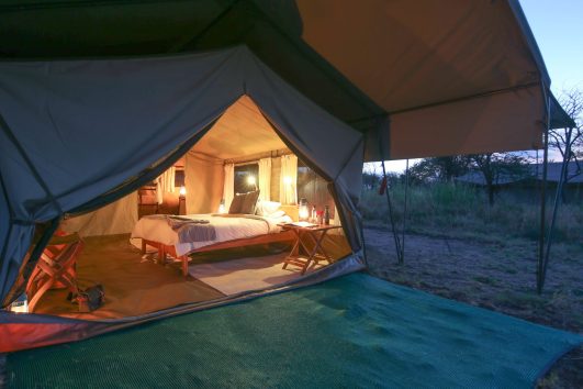 Serengeti North Wilderness Camp