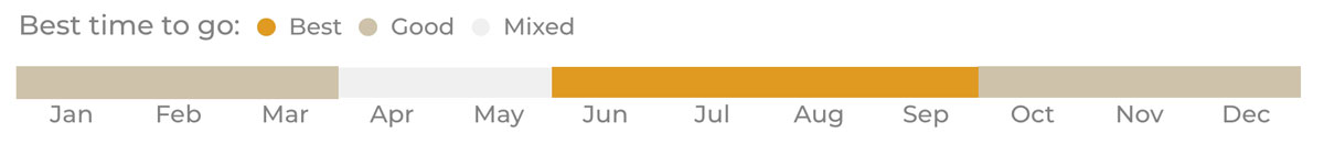 Best time for safari
