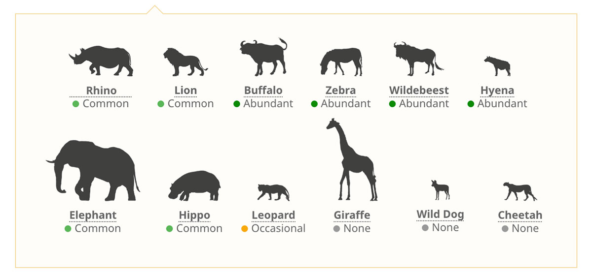 Ngorongoro Crater wildlife