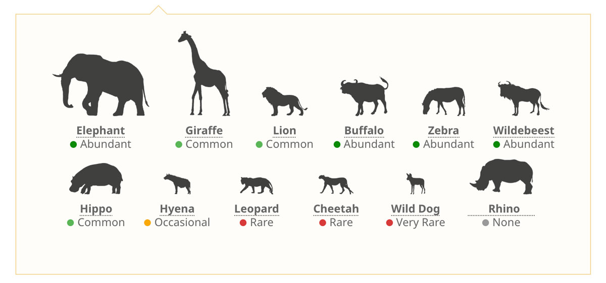 Tarangire National Park Wildlife