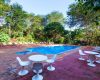Eileen's tree lodge safari pool