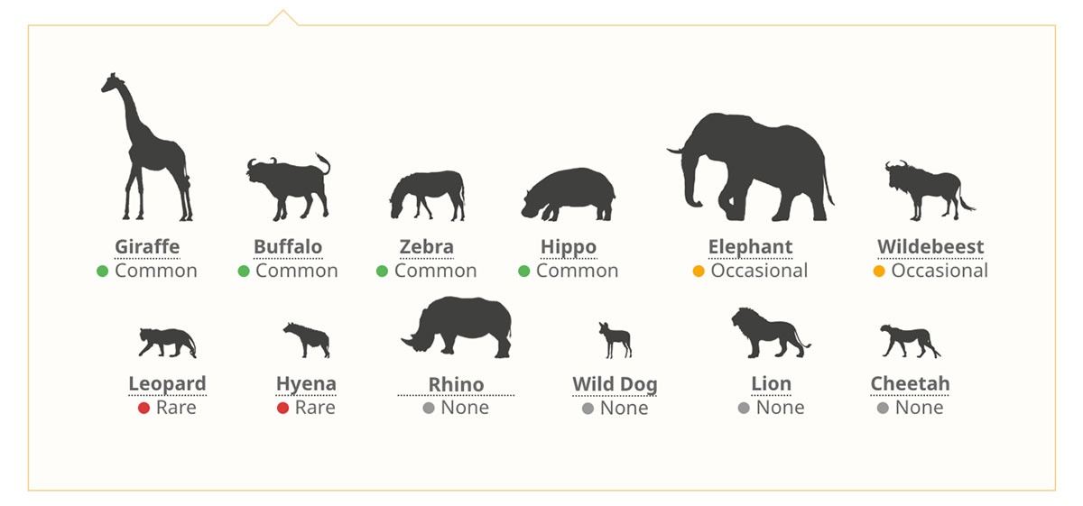 Arusha national Park wildlife